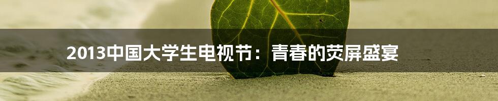 2013中国大学生电视节：青春的荧屏盛宴