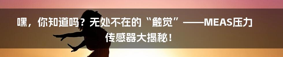 嘿,你知道吗?无处不在的“触觉”——MEAS压力传感器大揭秘!
