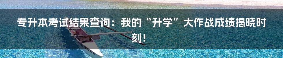 专升本考试结果查询：我的“升学”大作战成绩揭晓时刻！