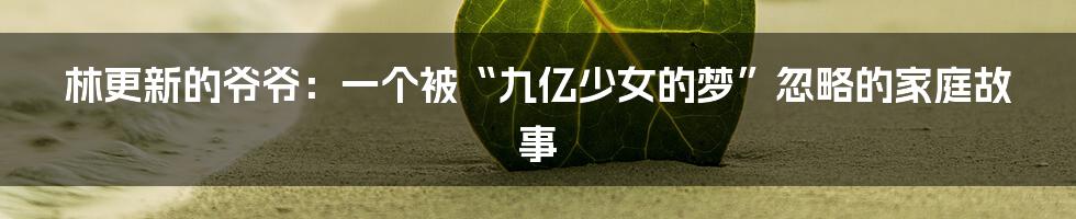 林更新的爷爷:一个被“九亿少女的梦”忽略的家庭故事