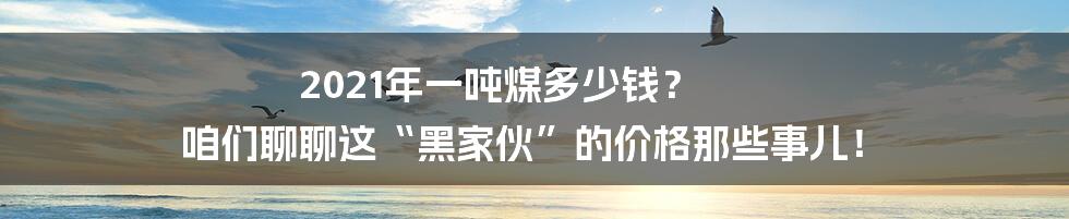 2021年一吨煤多少钱？ 咱们聊聊这“黑家伙”的价格那些事儿！