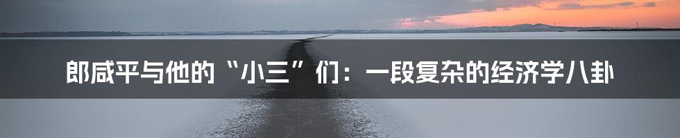 郎咸平与他的“小三”们：一段复杂的经济学八卦