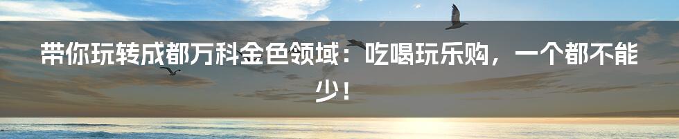 带你玩转成都万科金色领域:吃喝玩乐购,一个都不能少!