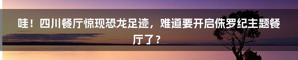 哇!四川餐厅惊现恐龙足迹,难道要开启侏罗纪主题餐厅了?