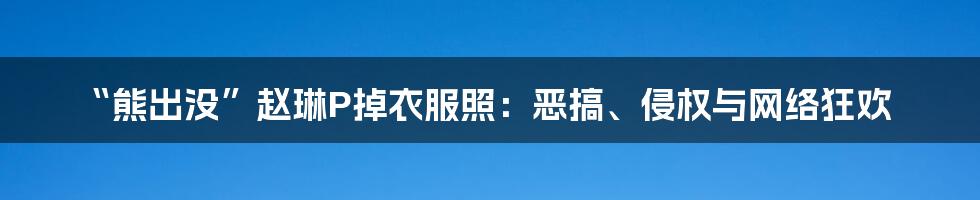 “熊出没”赵琳P掉衣服照:恶搞、侵权与网络狂欢