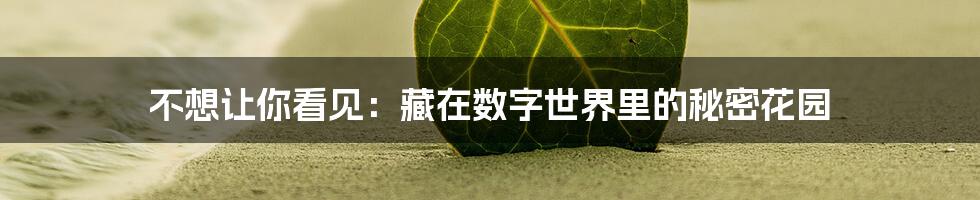 不想让你看见:藏在数字世界里的秘密花园