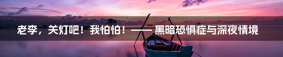 老李,关灯吧!我怕怕!—— 黑暗恐惧症与深夜情境