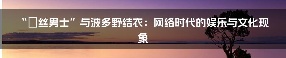“屌丝男士”与波多野结衣：网络时代的娱乐与文化现象