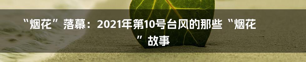 “烟花”落幕:2021年第10号台风的那些“烟花”故事