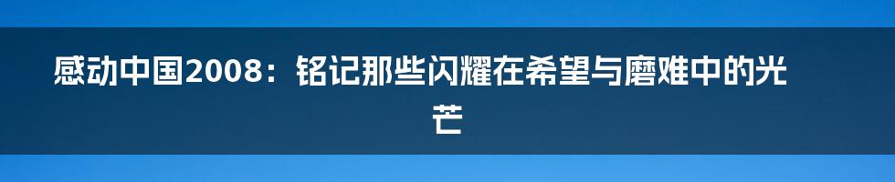 感动中国2008：铭记那些闪耀在希望与磨难中的光芒