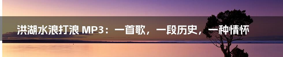 洪湖水浪打浪 MP3:一首歌,一段历史,一种情怀