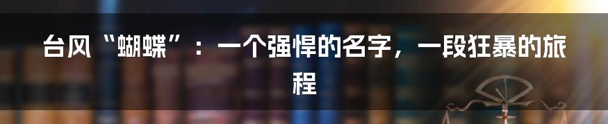 台风“蝴蝶”:一个强悍的名字,一段狂暴的旅程