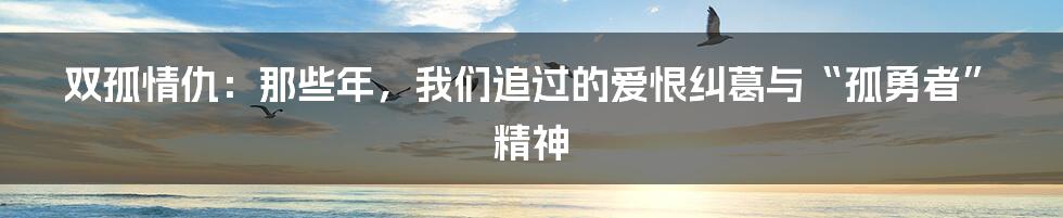 双孤情仇：那些年，我们追过的爱恨纠葛与“孤勇者”精神
