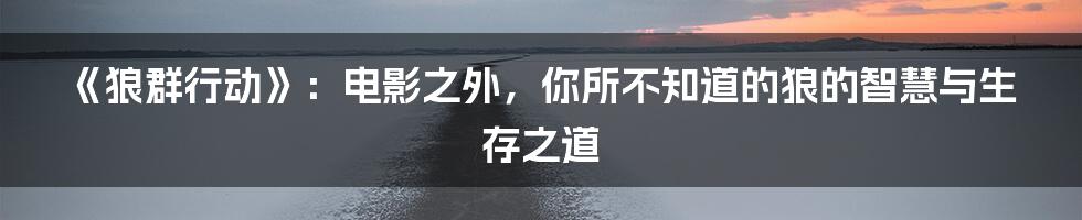 《狼群行动》:电影之外,你所不知道的狼的智慧与生存之道