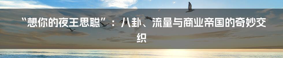 “想你的夜王思聪”:八卦、流量与商业帝国的奇妙交织