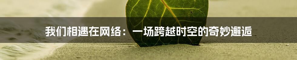 我们相遇在网络:一场跨越时空的奇妙邂逅