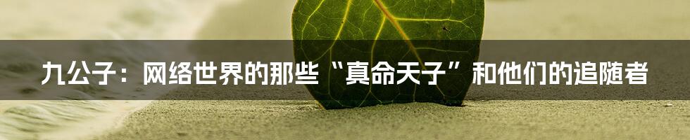 九公子:网络世界的那些“真命天子”和他们的追随者