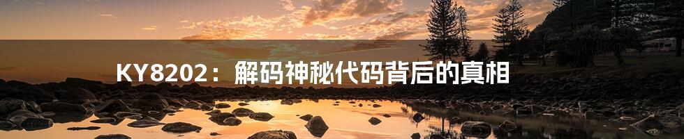 KY8202：解码神秘代码背后的真相