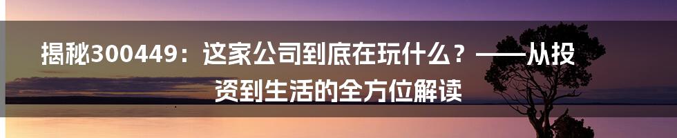 揭秘300449:这家公司到底在玩什么?——从投资到生活的全方位解读