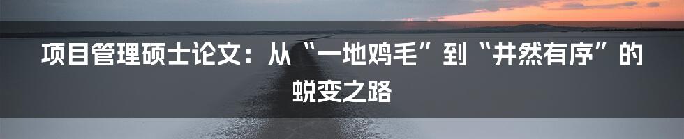 项目管理硕士论文:从“一地鸡毛”到“井然有序”的蜕变之路