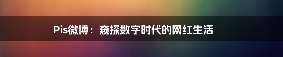 Pis微博:窥探数字时代的网红生活