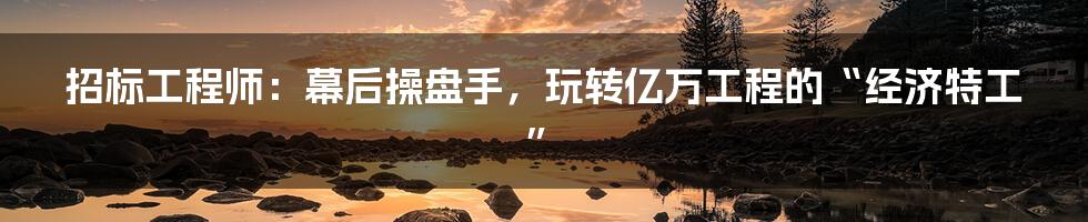 招标工程师:幕后操盘手,玩转亿万工程的“经济特工”