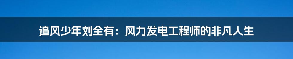 追风少年刘全有:风力发电工程师的非凡人生