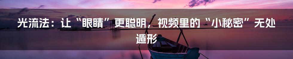 光流法：让“眼睛”更聪明，视频里的“小秘密”无处遁形