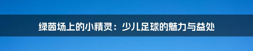 绿茵场上的小精灵:少儿足球的魅力与益处