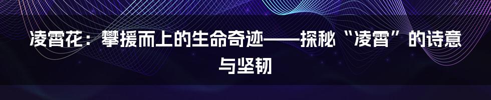 凌霄花:攀援而上的生命奇迹——探秘“凌霄”的诗意与坚韧