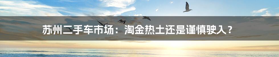 苏州二手车市场:淘金热土还是谨慎驶入?