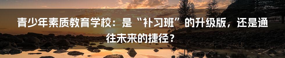青少年素质教育学校:是“补习班”的升级版,还是通往未来的捷径?