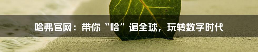 哈弗官网:带你“哈”遍全球,玩转数字时代