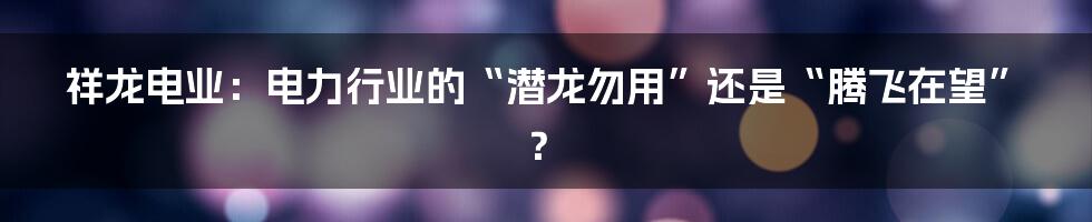 祥龙电业:电力行业的“潜龙勿用”还是“腾飞在望”?