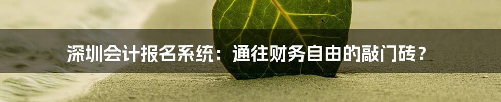 深圳会计报名系统:通往财务自由的敲门砖?