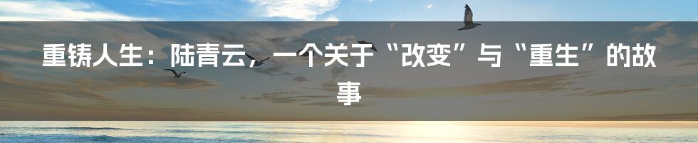 重铸人生:陆青云,一个关于“改变”与“重生”的故事