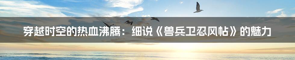 穿越时空的热血沸腾:细说《兽兵卫忍风帖》的魅力
