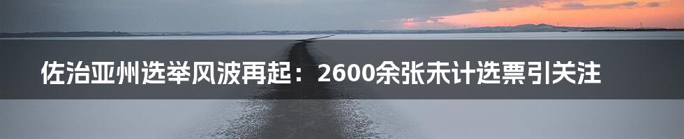 佐治亚州选举风波再起：2600余张未计选票引关注