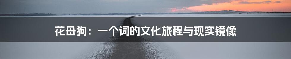 花母狗：一个词的文化旅程与现实镜像
