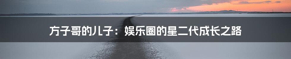 方子哥的儿子：娱乐圈的星二代成长之路