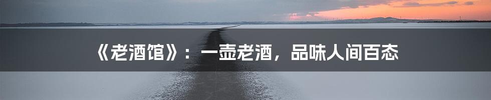 《老酒馆》：一壶老酒，品味人间百态