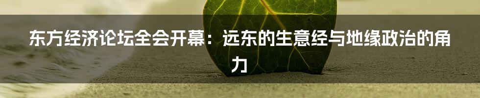 东方经济论坛全会开幕:远东的生意经与地缘政治的角力