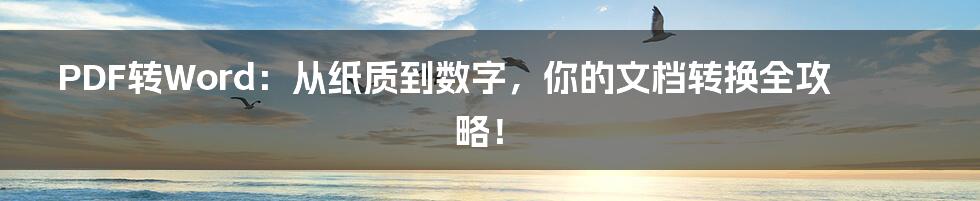 PDF转Word：从纸质到数字，你的文档转换全攻略！
