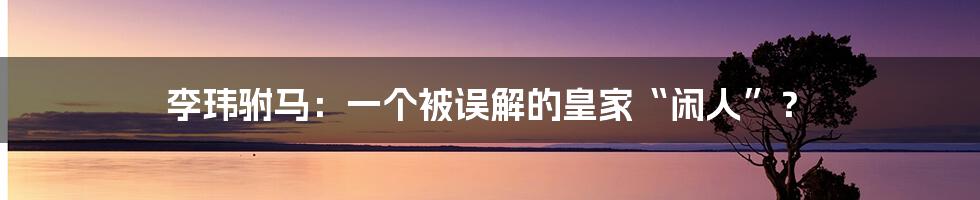 李玮驸马:一个被误解的皇家“闲人”?