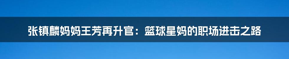 张镇麟妈妈王芳再升官:篮球星妈的职场进击之路