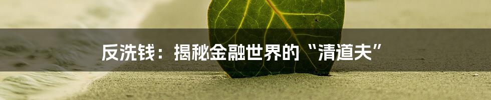 反洗钱：揭秘金融世界的“清道夫”