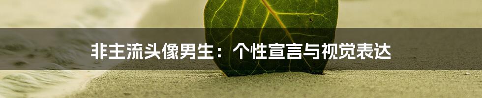 非主流头像男生:个性宣言与视觉表达