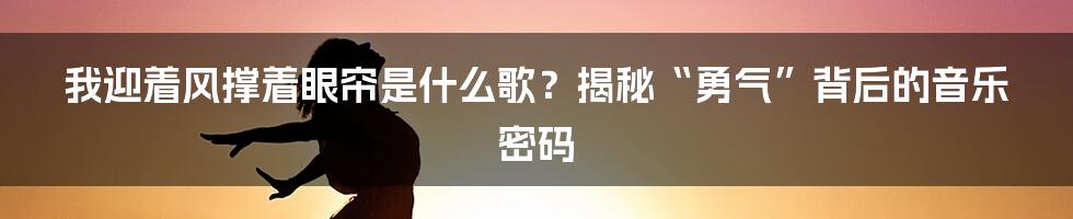 我迎着风撑着眼帘是什么歌？揭秘“勇气”背后的音乐密码