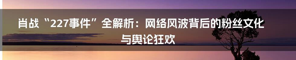 肖战“227事件”全解析：网络风波背后的粉丝文化与舆论狂欢