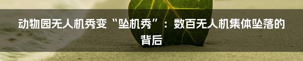 动物园无人机秀变“坠机秀”：数百无人机集体坠落的背后